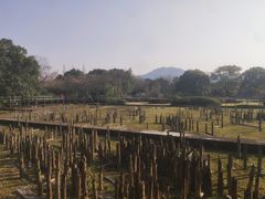 -河姆渡遗址博物馆