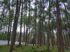 -硗碛藏寨·神木垒景区