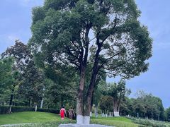 -重庆中央公园(渝北区)