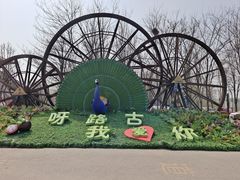 -呀路古热带植物园