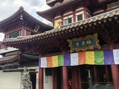 -新加坡佛牙寺龙华院