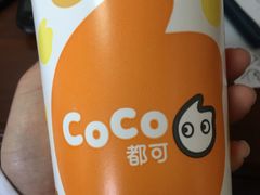 -CoCo都可(十全东店)