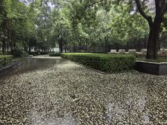 -木塔寺遗址生态公园