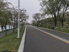 -羊山湖公园
