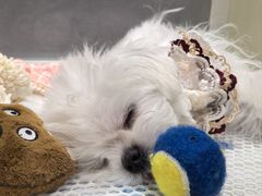 -鱼酷活鱼烤鱼(雨花客厅店)