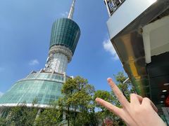 -梧桐山风景名胜区