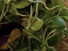 -南湖春色海鲜食府(中兴街店)