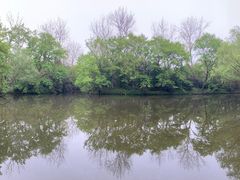 -上海滨江森林公园
