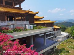 -深圳仙湖植物园