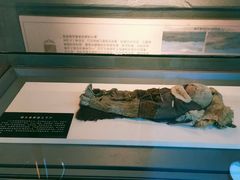 -巴音郭楞蒙古自治州博物馆