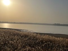 -青龙湖公园