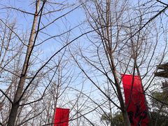 -秦始皇帝陵博物院(兵马俑)