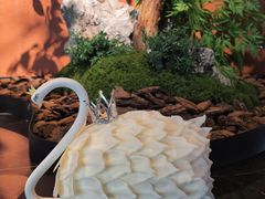 -西檬树SIMON·T轻奢蛋糕(大东方Max店)