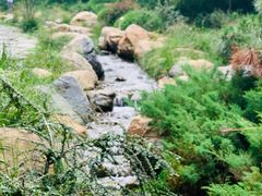 -大连植物园