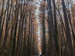 -青山湖景区