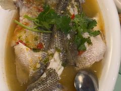 -米泰芒·东南亚料理(体育西店)