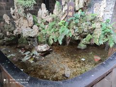 -磁器口古镇