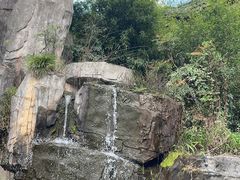 -东天目山风景区