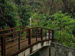 -梧桐山风景名胜区