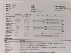 -康成宠物医院24H·CT·核磁共振