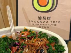 -油梨树AVOCADO TREE(嘉里中心店)