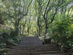 -宁波市保国寺古建筑博物馆