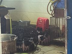 -黄记四更烤乳猪店