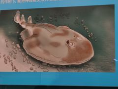 -天津自然博物馆