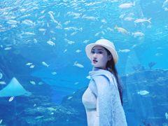 -海合安成都极地海洋公园