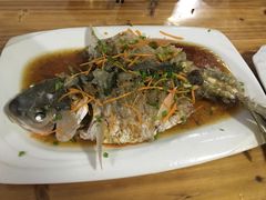 -悠悠美食