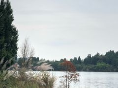 -仙海旅游度假区