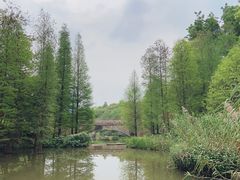 -云溪植物园