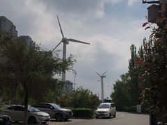 -长白岛森林公园