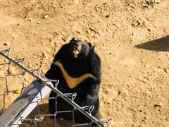 -石家庄市动物园