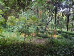 -重庆平顶山公园