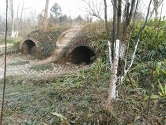 -桤木河湿地公园