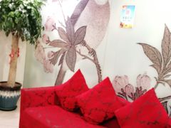 -金杏·粘卷子 烤鸭 农家菜