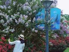 -杭州城北体育公园