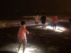 -日照灯塔风景区