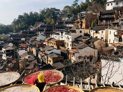 -婺源风景区