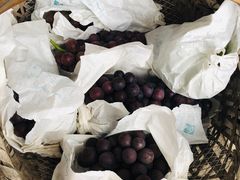 -马陆小张葡萄园农家乐