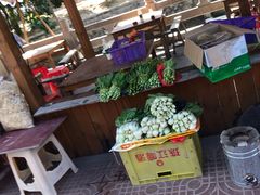-红山村