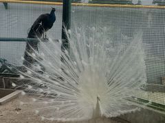 -瑞博尔花园酒店(太周创新产业园店)