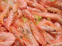 -星伦多自助料理·涮烤一体(江桥万达店)