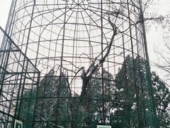 -保定市动物园