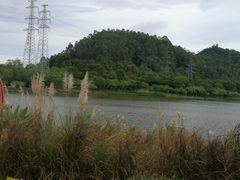 -顺峰山公园