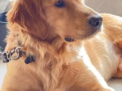 -贝康宠物医院·犬猫全科·小动物特色诊疗中心(东环路店)