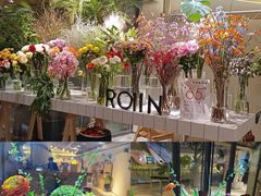 -ROIIN用心(杭州首店)
