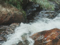 -梁野山景区