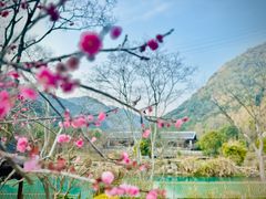-黄公望隐居地
